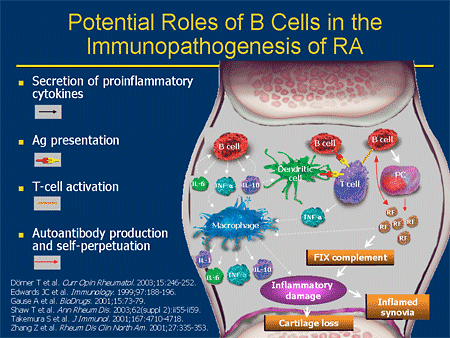 B-Cell Targeted Therapies: From Theory To Practice