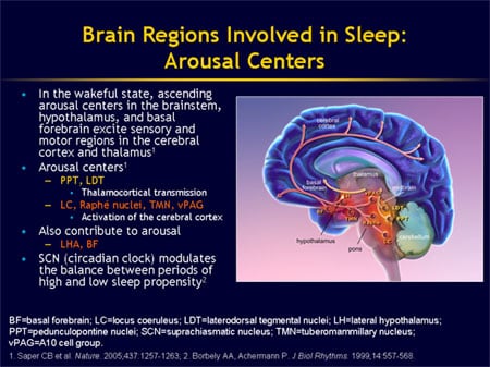 brain stem function affecting sleep