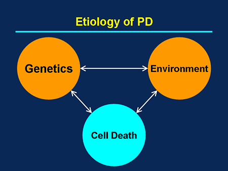 Parkinsons Disease Progression >> Targeting Unmet Needs in the Management of Parkinson's Disease Parkinsons Disease Progression >> Targeting Unmet Needs in the Management of Parkinson's Disease