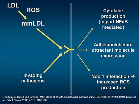 New Approaches To Cv Risk Reduction Beyond The Numbers