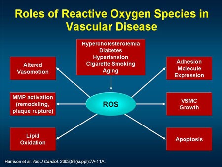 New Approaches To CV Risk Reduction Beyond The Numbers