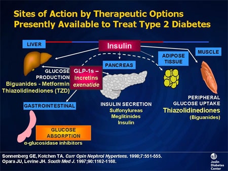 How is Type 2 diabetes treated?