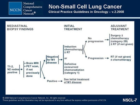 NCCN Non-Small Cell Lung Cancer Guidelines Update (Slides With Transcript)