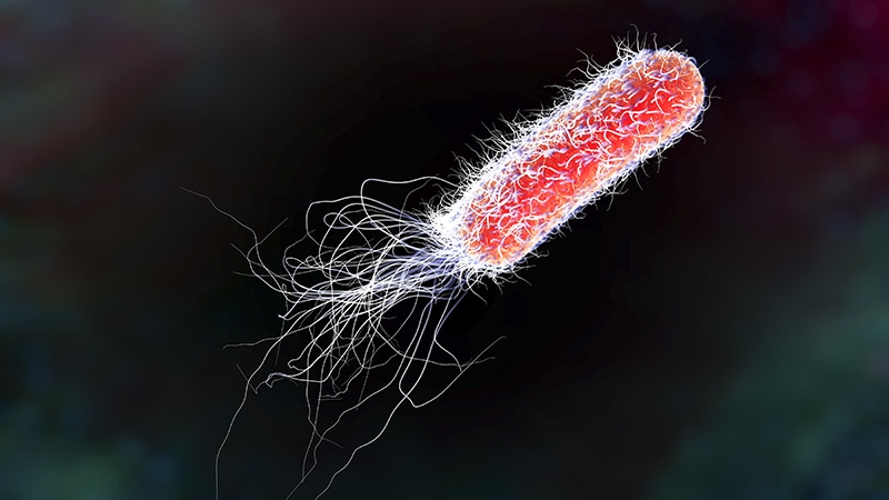 Pandemic Blamed for Failed Trial of Inhaled Antibiotic 