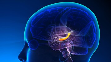 Noninvasive Approach Detects Epileptiform Activity