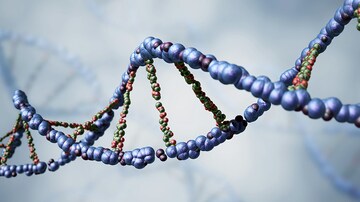 'Lucky Genes' May Protect Against Some Obesity-Related Diseases