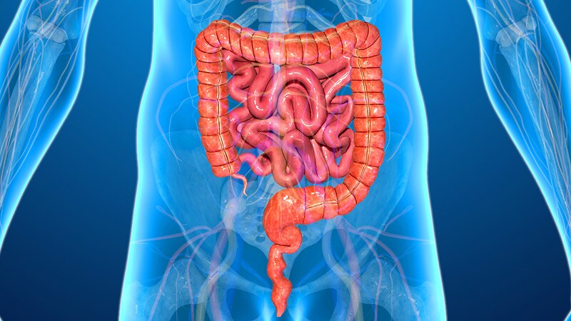 Histologic Activity in IBD Ups Risk of Serious Infections