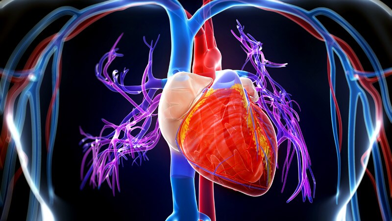 Dapagliflozin's HFpEF Benefit Tied to Lower Filling Pressure