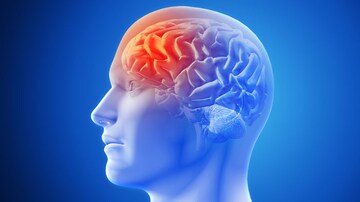 Our Brains Learn From Mistakes and Can Track Performance