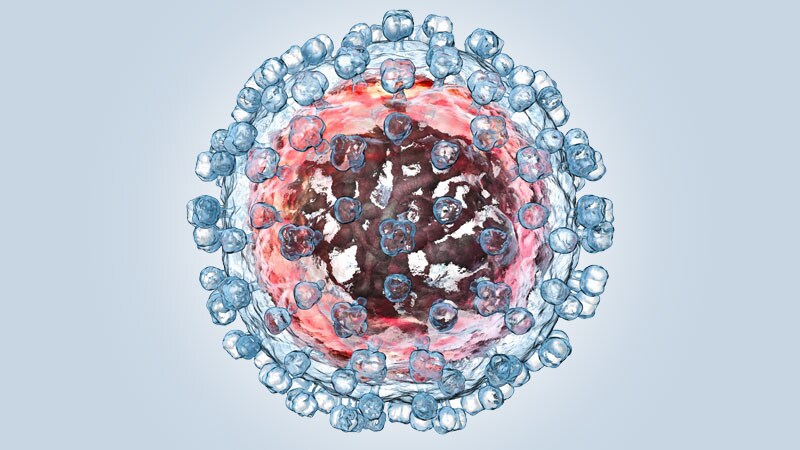 The Remaining Frontiers in Fighting Hepatitis C
