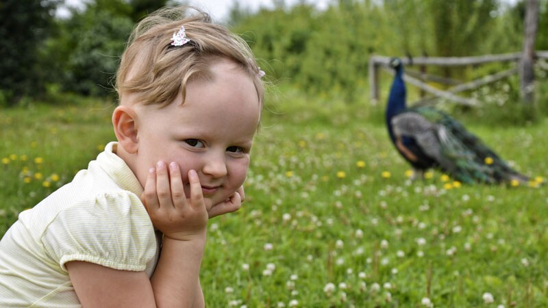 Pediatric Alopecia in the US Has Increased Twofold Since 2009