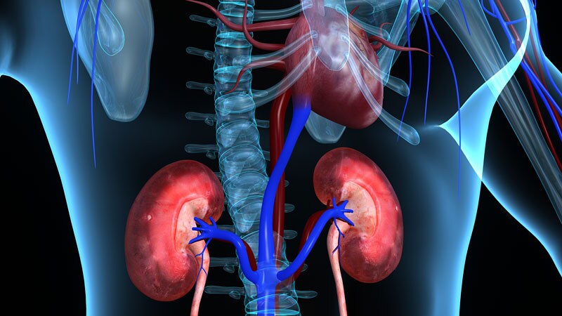 Finerenone, Sotagliflozin Benefit HF Despite Renal Dysfunction