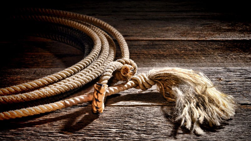 No Advantage for LAA Ligation With Pulmonary Vein Isolation