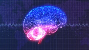 'Brain Age' Gap Predicts Post-Stroke Outcomes