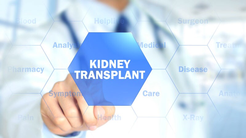 Race-Free eGFR Validated for Kidney Transplant Patients