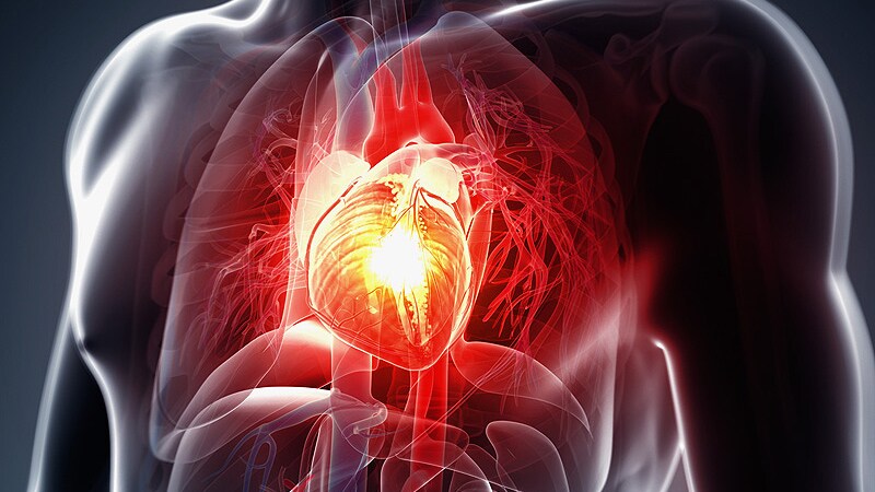 New Trial Suggests CV Benefit With EPA: RESPECT-EPA   