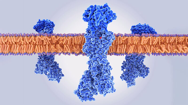 Scant Evidence for Proton Pump Inhibitor Role in Gastric Cancer
