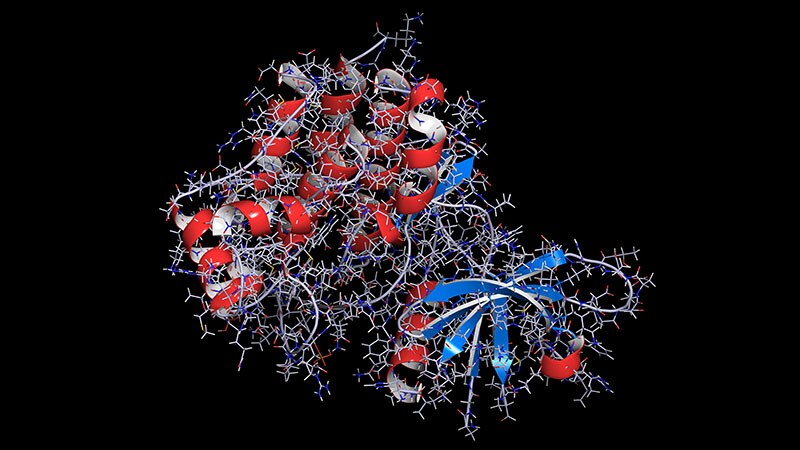 Dermatology Risks Are Likely Different for JAK Inhibitors