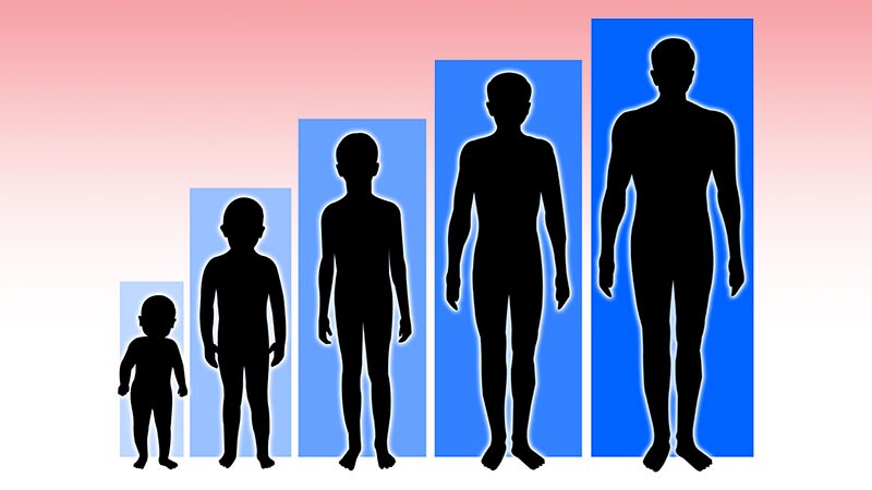 'A Lot More to Do' for Longevity of Kids Who Receive Organs