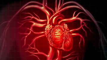 Pulmonary Hypertension Increases ARDS Mortality Risk