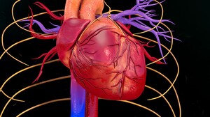 Sotatercept Tied to Disease Modification in PAH