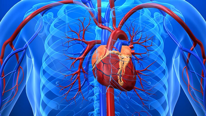 Optimal Antiplatelet Regimen in "Bi-Risk" ACS?