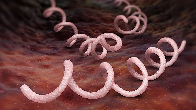 Increasing Syphilis Rates a 'Health Emergency' for Canada