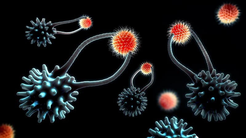 T-Cell Cancers: CAR T Therapy to the Rescue?