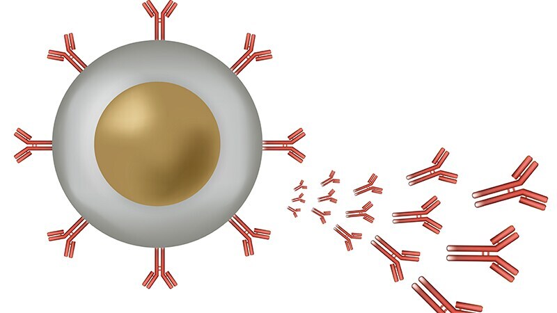 Rapid Rx Quiz: Advances in Antibody-Drug Conjugates - What You Need to Know