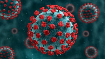 'Pandemic is Not Over' Dame Jenny Warns as Government Releases Living with COVID Guidance