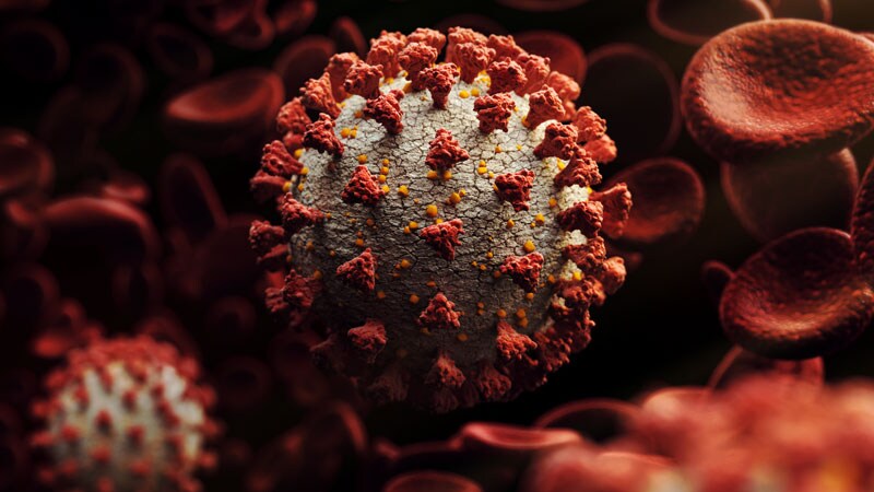 No Benefit of Antiplatelets in Noncritical COVID: ACTIV-4a