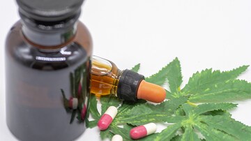 Rheumatology Patients Seek Guidance on CBD, Cannabis Products