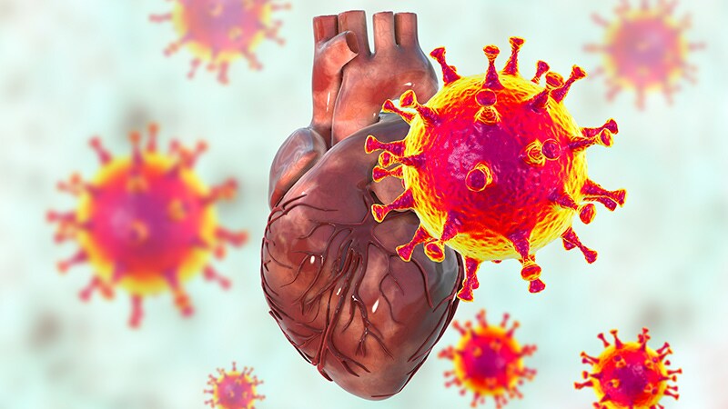 Heart Transplant Outcomes Similar With COVID-19–Positive Donors