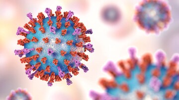 Babies Whose Moms Get RSV Vaccine Need Fewer Antimicrobials