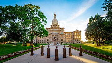 1931 State Law Makes Abortion a Felony if 'Roe' Falls