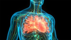 Novel Antibody Safe, Promising for ATTR