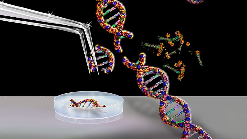 CRISPR Gene Editing Takes Next Step in TTR Amyloidosis