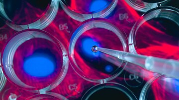Post SCT, Better Survival in Kids With Healthy Gut Diversity