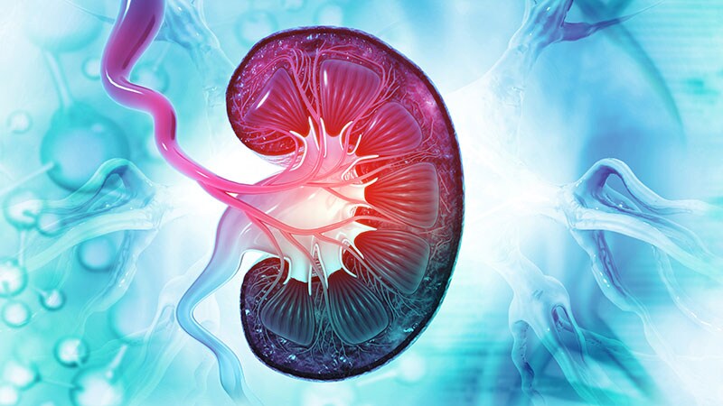 Renal Denervation Trial for Hypertension Is a Near Miss