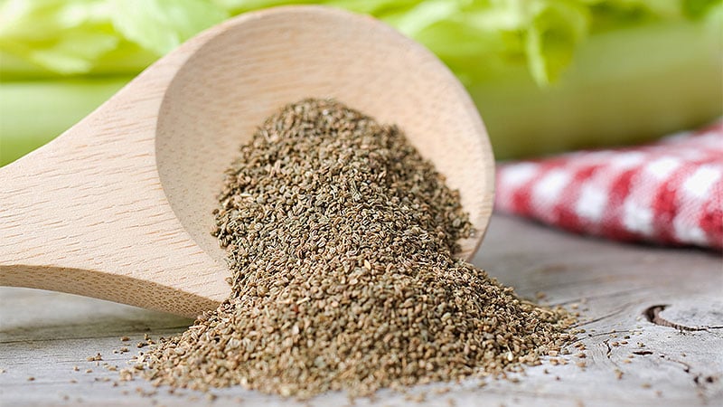 Novel Celery Seed–Derived Drug May Improve Stroke Outcomes