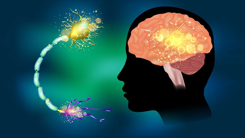 Novel Neural Cell Therapy a Cure for Focal Epilepsy?