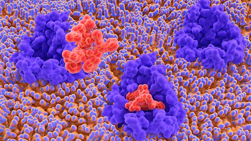 Setmelanotide Offers Significant, Long-Lasting Weight Loss