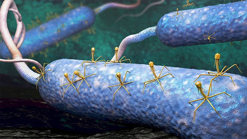 Antibiotic Alternatives for Nontuberculous Mycobacterium 