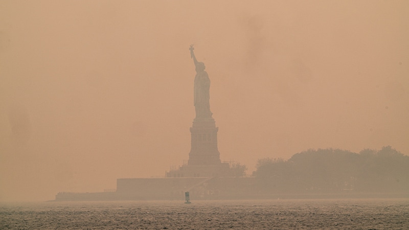 Canadian Wildfire Smoke Linked to ED Visits in New York