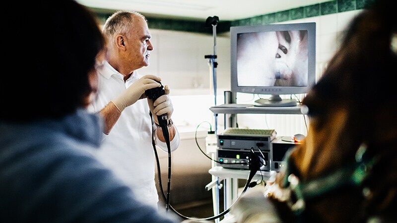 ESG Yields Significant Weight Loss Across Obesity Classes