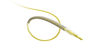 FDA Approves Medtronic's Onyx Frontier Drug-Eluting Stent