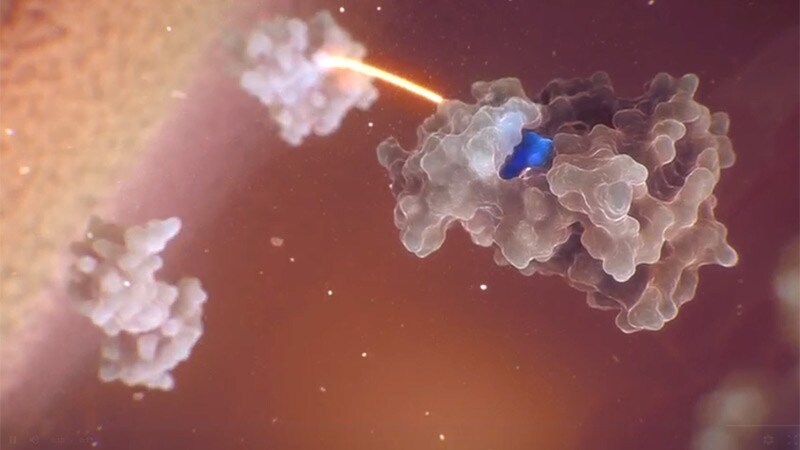 Early Responders Could Halt Advanced CLL Combo Therapy