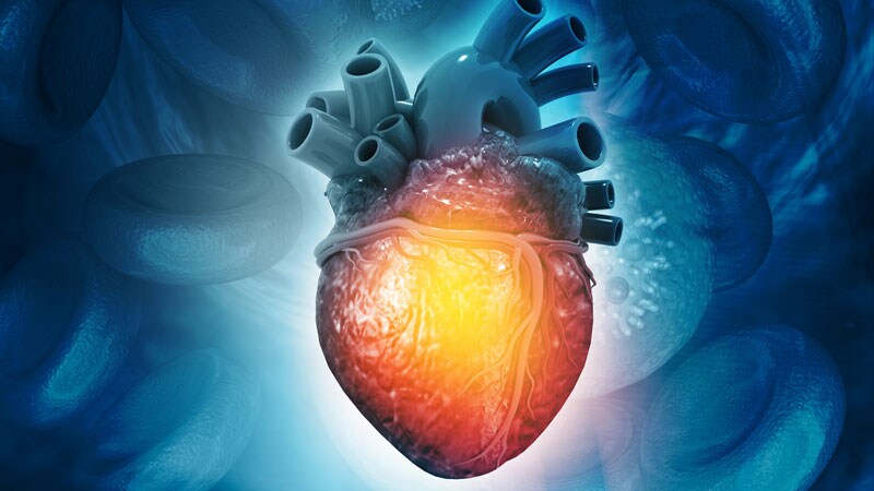 Finerenone's Heart Benefits Hold in T2D Without CVD: FIDELIO-DKD
