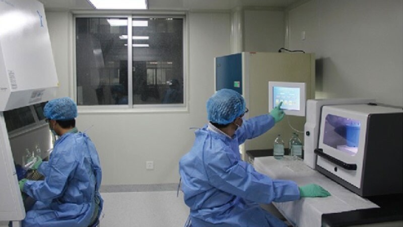 Unraveling the Mechanisms Behind FMT Efficacy