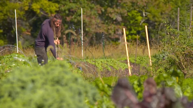 Treating Obesity: Confronting a New Normal: Food Is Medicine